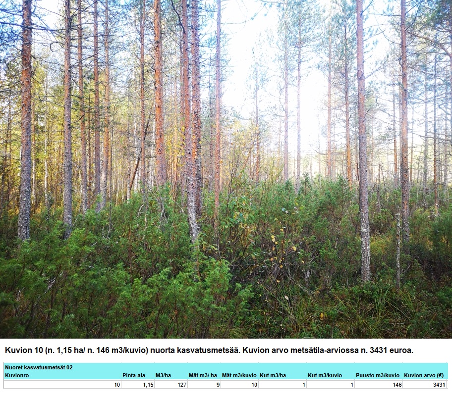 Kuvion 10 nuorta kasvatusmetsää n. 1,15 ha Myydään n. 11964 m3 / n. 89,60 ha kovakasvuinen metsäsijoituskohde Tervolasta tien vierestä. Kasvatusmetsiä n. 9699 m3. Mahdollisuus n. 2900 m3 hakkuisiin! Tarjoukset viimeistään ti 27.10.2026 sähköpostiin tuomo.liikanen@suomenmetsatilakauppa.fi Lisätiedot 050-4334720, Tuomo Liikanen