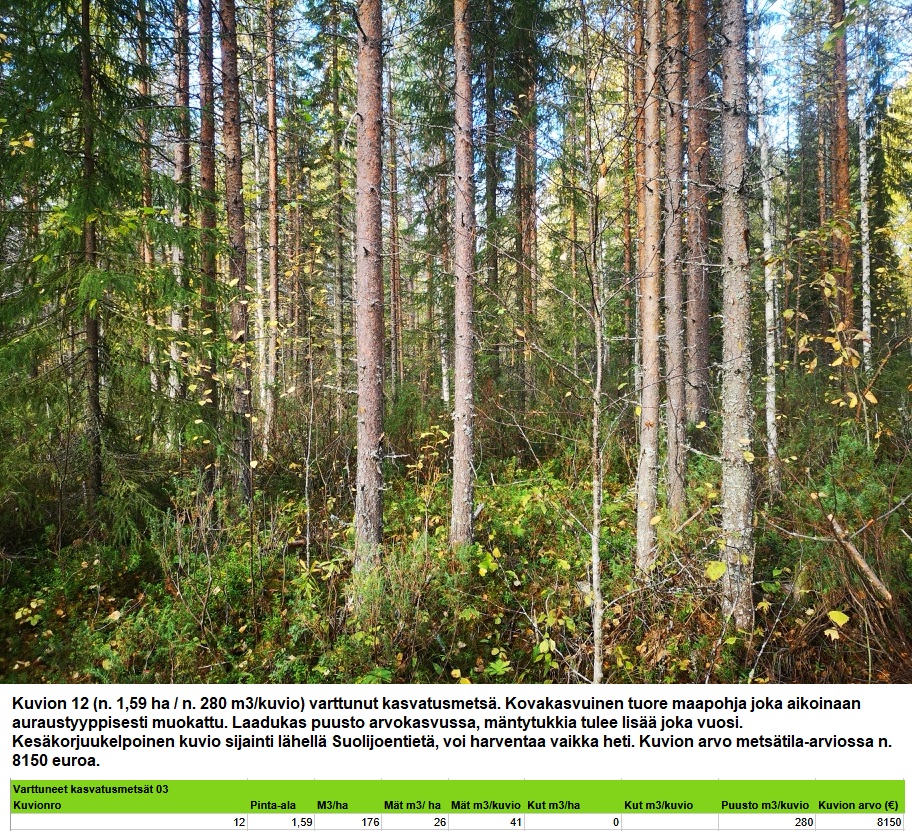 Kuvion 12 varttunut kasvatusmetsä n. 1,59 ha Myydään n. 11964 m3 / n. 89,60 ha kovakasvuinen metsäsijoituskohde Tervolasta tien vierestä. Kasvatusmetsiä n. 9699 m3. Mahdollisuus n. 2900 m3 hakkuisiin! Tarjoukset viimeistään ti 27.10.2026 sähköpostiin tuomo.liikanen@suomenmetsatilakauppa.fi Lisätiedot 050-4334720, Tuomo Liikanen