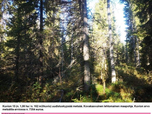 Myydään n. 11964 m3 / n. 89,60 ha kovakasvuinen metsäsijoituskohde Tervolasta tien vierestä. Kasvatusmetsiä n. 9699 m3. Mahdollisuus n. 2900 m3 hakkuisiin! Tarjoukset viimeistään ti 27.10.2026 sähköpostiin tuomo.liikanen@suomenmetsatilakauppa.fi              Lisätiedot 050-4334720, Tuomo Liikanen