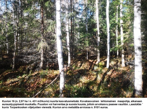 Myydään n. 11964 m3 / n. 89,60 ha kovakasvuinen metsäsijoituskohde Tervolasta tien vierestä. Kasvatusmetsiä n. 9699 m3. Mahdollisuus n. 2900 m3 hakkuisiin! Tarjoukset viimeistään ti 27.10.2026 sähköpostiin tuomo.liikanen@suomenmetsatilakauppa.fi              Lisätiedot 050-4334720, Tuomo Liikanen