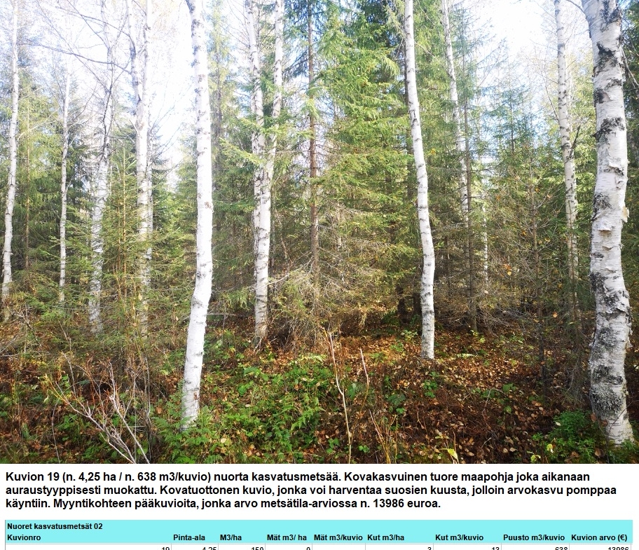 Myydään n. 11964 m3 / n. 89,60 ha kovakasvuinen metsäsijoituskohde Tervolasta tien vierestä. Kasvatusmetsiä n. 9699 m3. Mahdollisuus n. 2900 m3 hakkuisiin! Tarjoukset viimeistään ti 27.10.2026 sähköpostiin tuomo.liikanen@suomenmetsatilakauppa.fi              Lisätiedot 050-4334720, Tuomo Liikanen