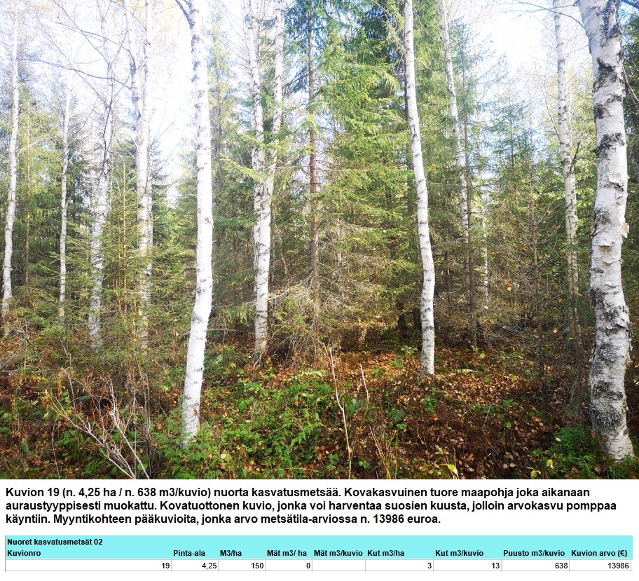 Kuvion 19 nuori kasvatusmetsä n. 4,25 ha Myydään n. 11964 m3 / n. 89,60 ha kovakasvuinen metsäsijoituskohde Tervolasta tien vierestä. Kasvatusmetsiä n. 9699 m3. Mahdollisuus n. 2900 m3 hakkuisiin! Tarjoukset viimeistään ti 27.10.2026 sähköpostiin tuomo.liikanen@suomenmetsatilakauppa.fi Lisätiedot 050-4334720, Tuomo Liikanen