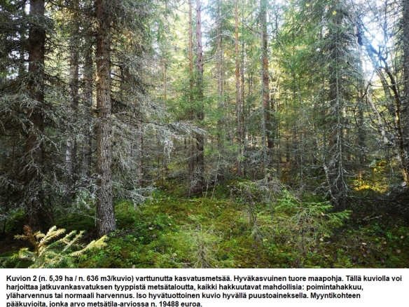 Myydään n. 11964 m3 / n. 89,60 ha kovakasvuinen metsäsijoituskohde Tervolasta tien vierestä. Kasvatusmetsiä n. 9699 m3. Mahdollisuus n. 2900 m3 hakkuisiin! Tarjoukset viimeistään ti 27.10.2026 sähköpostiin tuomo.liikanen@suomenmetsatilakauppa.fi              Lisätiedot 050-4334720, Tuomo Liikanen