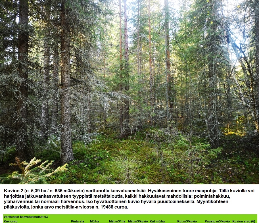 Myydään n. 11964 m3 / n. 89,60 ha kovakasvuinen metsäsijoituskohde Tervolasta tien vierestä. Kasvatusmetsiä n. 9699 m3. Mahdollisuus n. 2900 m3 hakkuisiin! Tarjoukset viimeistään ti 27.10.2026 sähköpostiin tuomo.liikanen@suomenmetsatilakauppa.fi              Lisätiedot 050-4334720, Tuomo Liikanen