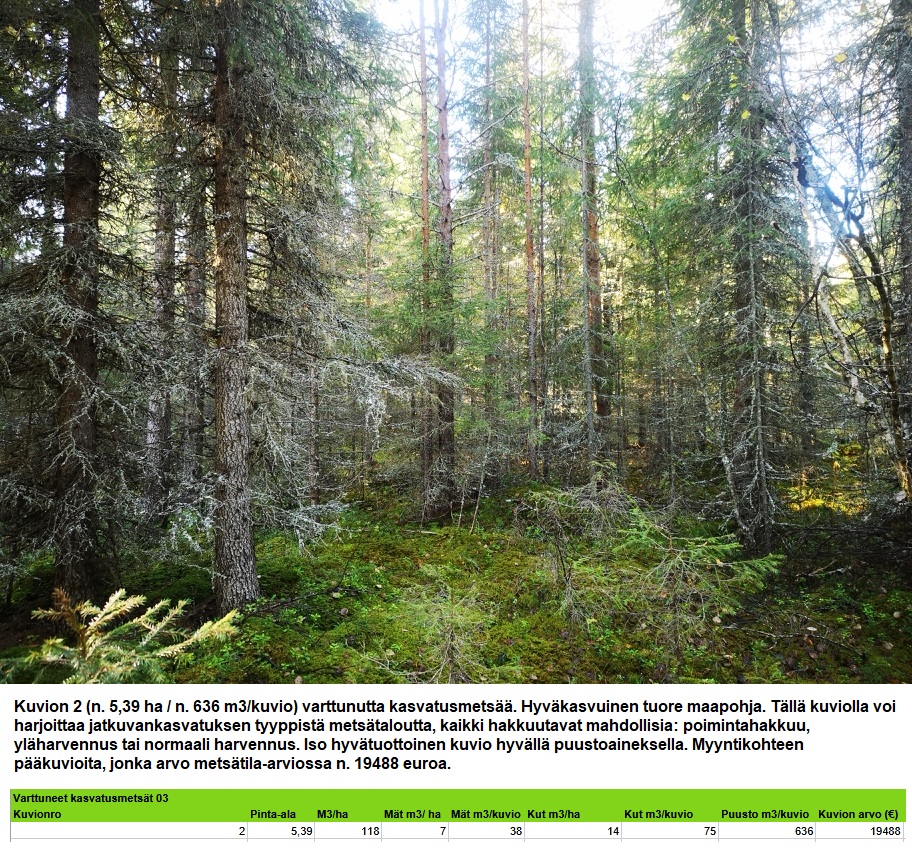 Kuvion 2 varttunutta kasvatusmetsää n. 5,39 ha k1 Myydään n. 11964 m3 / n. 89,60 ha kovakasvuinen metsäsijoituskohde Tervolasta tien vierestä. Kasvatusmetsiä n. 9699 m3. Mahdollisuus n. 2900 m3 hakkuisiin! Tarjoukset viimeistään ti 27.10.2026 sähköpostiin tuomo.liikanen@suomenmetsatilakauppa.fi Lisätiedot 050-4334720, Tuomo Liikanen