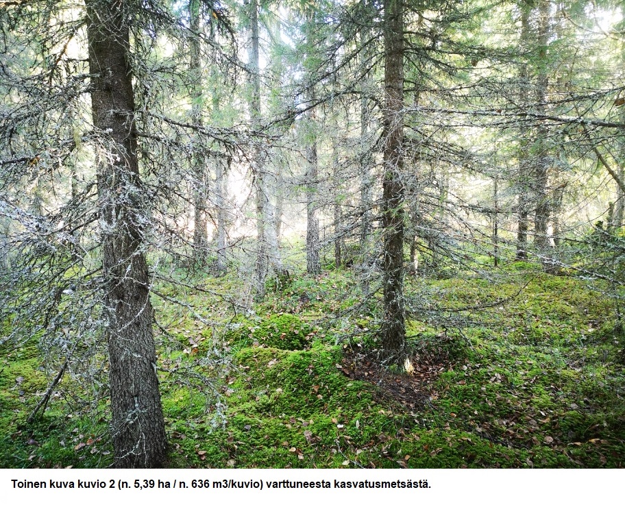 Myydään n. 11964 m3 / n. 89,60 ha kovakasvuinen metsäsijoituskohde Tervolasta tien vierestä. Kasvatusmetsiä n. 9699 m3. Mahdollisuus n. 2900 m3 hakkuisiin! Tarjoukset viimeistään ti 27.10.2026 sähköpostiin tuomo.liikanen@suomenmetsatilakauppa.fi              Lisätiedot 050-4334720, Tuomo Liikanen