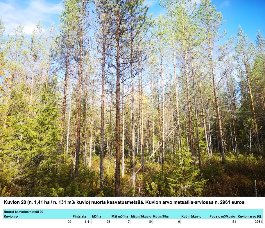 Myydään n. 11964 m3 / n. 89,60 ha kovakasvuinen metsäsijoituskohde Tervolasta tien vierestä. Kasvatusmetsiä n. 9699 m3. Mahdollisuus n. 2900 m3 hakkuisiin! Tarjoukset viimeistään ti 27.10.2026 sähköpostiin tuomo.liikanen@suomenmetsatilakauppa.fi              Lisätiedot 050-4334720, Tuomo Liikanen