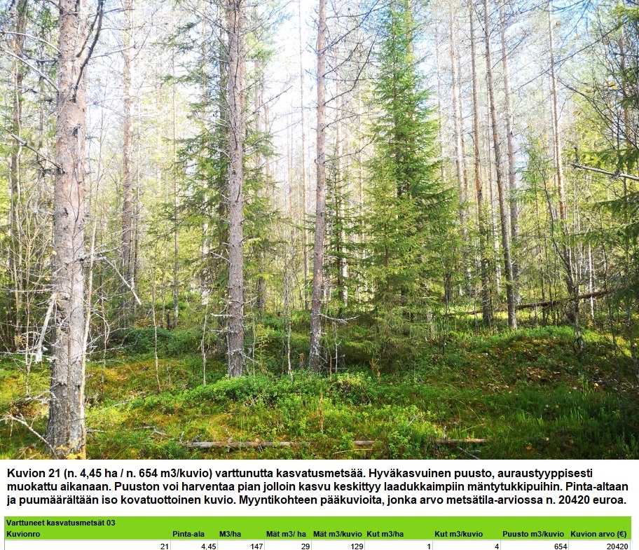 Myydään n. 11964 m3 / n. 89,60 ha kovakasvuinen metsäsijoituskohde Tervolasta tien vierestä. Kasvatusmetsiä n. 9699 m3. Mahdollisuus n. 2900 m3 hakkuisiin! Tarjoukset viimeistään ti 27.10.2026 sähköpostiin tuomo.liikanen@suomenmetsatilakauppa.fi              Lisätiedot 050-4334720, Tuomo Liikanen