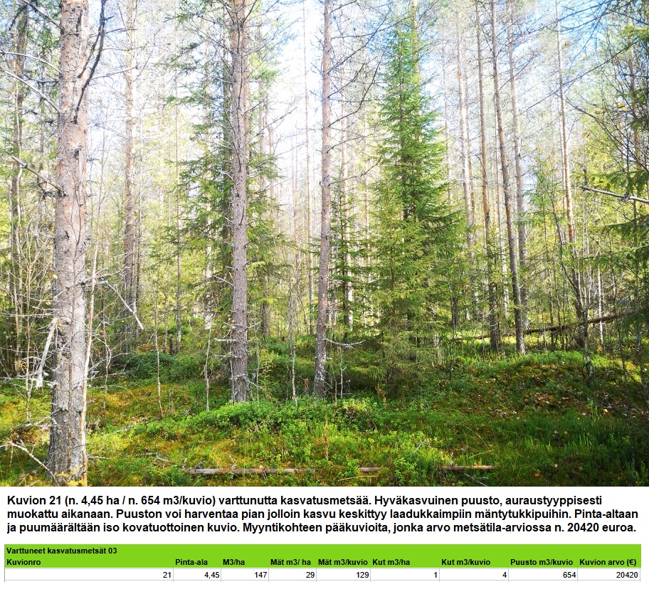 Kuvion 21 varttunut kasvatusmetsä n. 4,45 ha k1 Myydään n. 11964 m3 / n. 89,60 ha kovakasvuinen metsäsijoituskohde Tervolasta tien vierestä. Kasvatusmetsiä n. 9699 m3. Mahdollisuus n. 2900 m3 hakkuisiin! Tarjoukset viimeistään ti 27.10.2026 sähköpostiin tuomo.liikanen@suomenmetsatilakauppa.fi Lisätiedot 050-4334720, Tuomo Liikanen