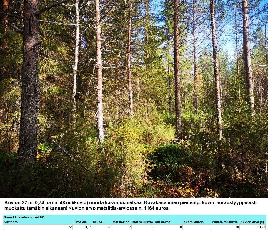 Myydään n. 11964 m3 / n. 89,60 ha kovakasvuinen metsäsijoituskohde Tervolasta tien vierestä. Kasvatusmetsiä n. 9699 m3. Mahdollisuus n. 2900 m3 hakkuisiin! Tarjoukset viimeistään ti 27.10.2026 sähköpostiin tuomo.liikanen@suomenmetsatilakauppa.fi              Lisätiedot 050-4334720, Tuomo Liikanen