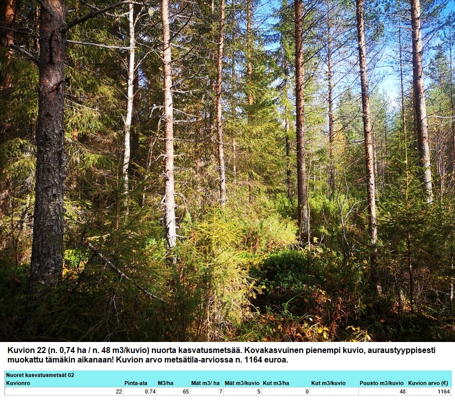 Kuvion 22 nuori kasvatusmetsä n. 0,74 ha Myydään n. 11964 m3 / n. 89,60 ha kovakasvuinen metsäsijoituskohde Tervolasta tien vierestä. Kasvatusmetsiä n. 9699 m3. Mahdollisuus n. 2900 m3 hakkuisiin! Tarjoukset viimeistään ti 27.10.2026 sähköpostiin tuomo.liikanen@suomenmetsatilakauppa.fi Lisätiedot 050-4334720, Tuomo Liikanen