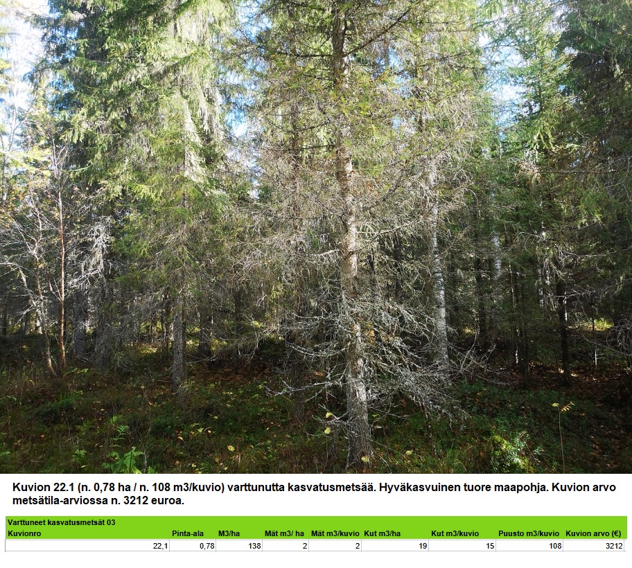 Kuvion 22,1 varttunut kasvatusmetsä n. 0,78 ha Myydään n. 11964 m3 / n. 89,60 ha kovakasvuinen metsäsijoituskohde Tervolasta tien vierestä. Kasvatusmetsiä n. 9699 m3. Mahdollisuus n. 2900 m3 hakkuisiin! Tarjoukset viimeistään ti 27.10.2026 sähköpostiin tuomo.liikanen@suomenmetsatilakauppa.fi Lisätiedot 050-4334720, Tuomo Liikanen