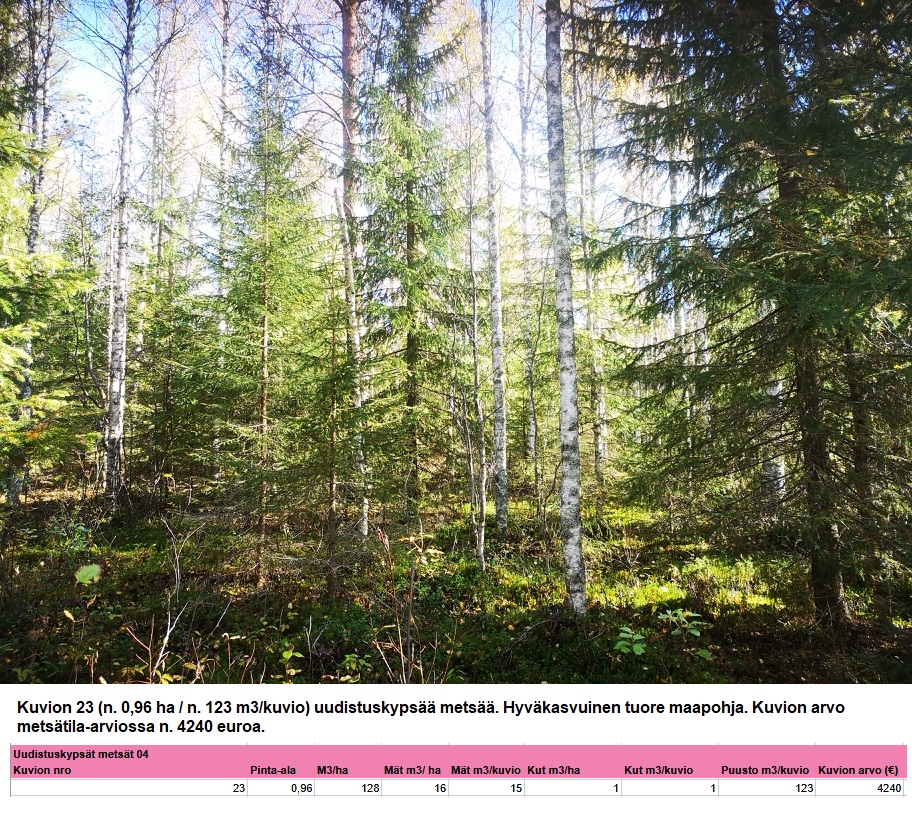 Kuvion 23 uudistuskypsä metsä n. 0,96 ha Myydään n. 11964 m3 / n. 89,60 ha kovakasvuinen metsäsijoituskohde Tervolasta tien vierestä. Kasvatusmetsiä n. 9699 m3. Mahdollisuus n. 2900 m3 hakkuisiin! Tarjoukset viimeistään ti 27.10.2026 sähköpostiin tuomo.liikanen@suomenmetsatilakauppa.fi Lisätiedot 050-4334720, Tuomo Liikanen