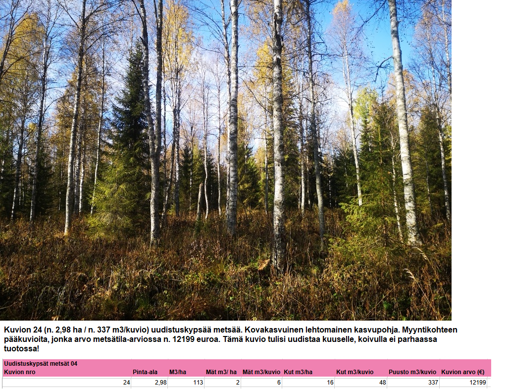 Myydään n. 11964 m3 / n. 89,60 ha kovakasvuinen metsäsijoituskohde Tervolasta tien vierestä. Kasvatusmetsiä n. 9699 m3. Mahdollisuus n. 2900 m3 hakkuisiin! Tarjoukset viimeistään ti 27.10.2026 sähköpostiin tuomo.liikanen@suomenmetsatilakauppa.fi              Lisätiedot 050-4334720, Tuomo Liikanen
