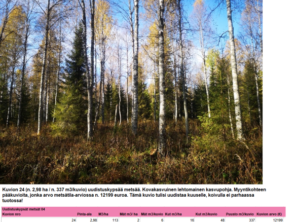 Myydään n. 11964 m3 / n. 89,60 ha kovakasvuinen metsäsijoituskohde Tervolasta tien vierestä. Kasvatusmetsiä n. 9699 m3. Mahdollisuus n. 2900 m3 hakkuisiin! Tarjoukset viimeistään ti 27.10.2026 sähköpostiin tuomo.liikanen@suomenmetsatilakauppa.fi              Lisätiedot 050-4334720, Tuomo Liikanen