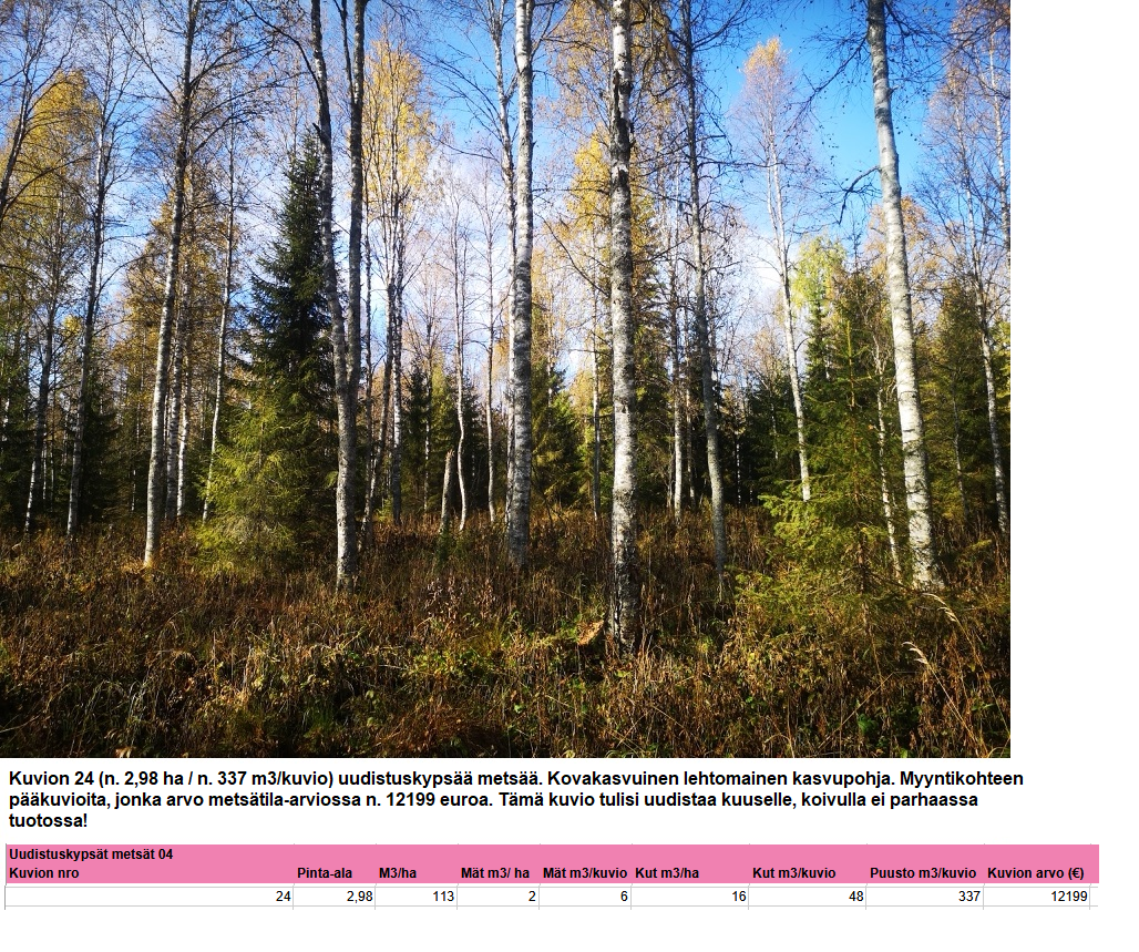 Kuvion 24 varttunut uudistuskypsä metsä n. 1,9 ha Myydään n. 11964 m3 / n. 89,60 ha kovakasvuinen metsäsijoituskohde Tervolasta tien vierestä. Kasvatusmetsiä n. 9699 m3. Mahdollisuus n. 2900 m3 hakkuisiin! Tarjoukset viimeistään ti 27.10.2026 sähköpostiin tuomo.liikanen@suomenmetsatilakauppa.fi Lisätiedot 050-4334720, Tuomo Liikanen