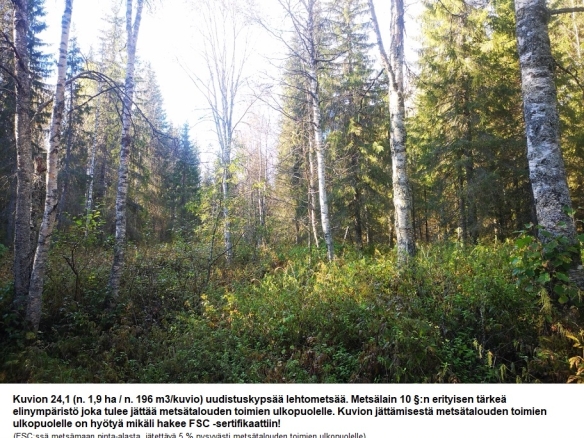 Myydään n. 11964 m3 / n. 89,60 ha kovakasvuinen metsäsijoituskohde Tervolasta tien vierestä. Kasvatusmetsiä n. 9699 m3. Mahdollisuus n. 2900 m3 hakkuisiin! Tarjoukset viimeistään ti 27.10.2026 sähköpostiin tuomo.liikanen@suomenmetsatilakauppa.fi              Lisätiedot 050-4334720, Tuomo Liikanen