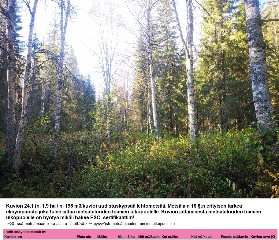 Myydään n. 11964 m3 / n. 89,60 ha kovakasvuinen metsäsijoituskohde Tervolasta tien vierestä. Kasvatusmetsiä n. 9699 m3. Mahdollisuus n. 2900 m3 hakkuisiin! Tarjoukset viimeistään ti 27.10.2026 sähköpostiin tuomo.liikanen@suomenmetsatilakauppa.fi              Lisätiedot 050-4334720, Tuomo Liikanen