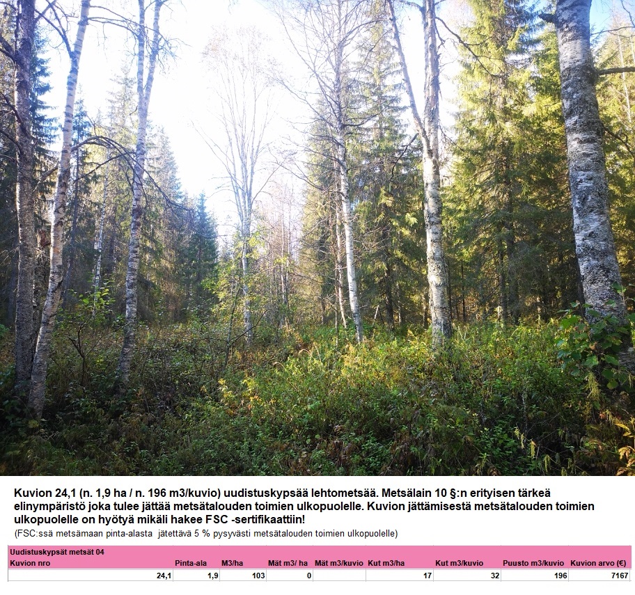 Kuvion 24.1 uudistuskypsä metsä LEHTO N. 1,9 HA Myydään n. 11964 m3 / n. 89,60 ha kovakasvuinen metsäsijoituskohde Tervolasta tien vierestä. Kasvatusmetsiä n. 9699 m3. Mahdollisuus n. 2900 m3 hakkuisiin! Tarjoukset viimeistään ti 27.10.2026 sähköpostiin tuomo.liikanen@suomenmetsatilakauppa.fi Lisätiedot 050-4334720, Tuomo Liikanen