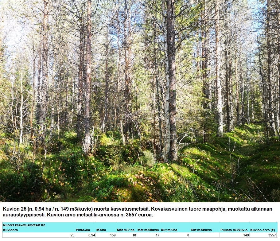Myydään n. 11964 m3 / n. 89,60 ha kovakasvuinen metsäsijoituskohde Tervolasta tien vierestä. Kasvatusmetsiä n. 9699 m3. Mahdollisuus n. 2900 m3 hakkuisiin! Tarjoukset viimeistään ti 27.10.2026 sähköpostiin tuomo.liikanen@suomenmetsatilakauppa.fi              Lisätiedot 050-4334720, Tuomo Liikanen