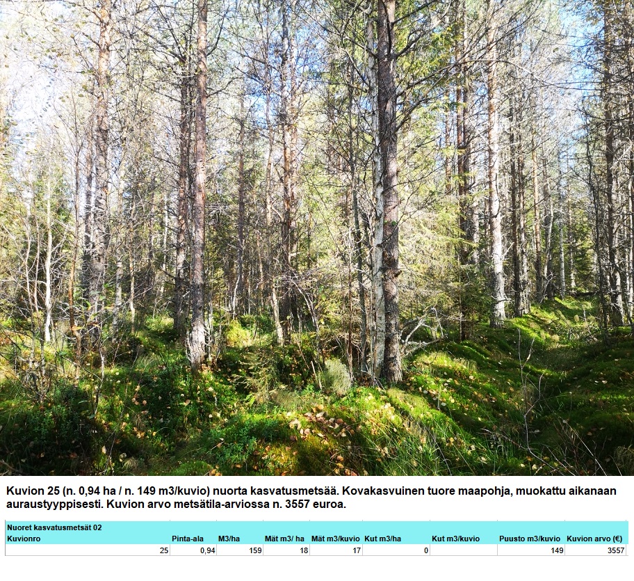 Kuvion 25 nuori kasvatusmetsä n. 0,94 ha Myydään n. 11964 m3 / n. 89,60 ha kovakasvuinen metsäsijoituskohde Tervolasta tien vierestä. Kasvatusmetsiä n. 9699 m3. Mahdollisuus n. 2900 m3 hakkuisiin! Tarjoukset viimeistään ti 27.10.2026 sähköpostiin tuomo.liikanen@suomenmetsatilakauppa.fi Lisätiedot 050-4334720, Tuomo Liikanen