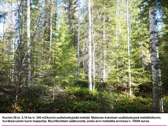 Myydään n. 11964 m3 / n. 89,60 ha kovakasvuinen metsäsijoituskohde Tervolasta tien vierestä. Kasvatusmetsiä n. 9699 m3. Mahdollisuus n. 2900 m3 hakkuisiin! Tarjoukset viimeistään ti 27.10.2026 sähköpostiin tuomo.liikanen@suomenmetsatilakauppa.fi              Lisätiedot 050-4334720, Tuomo Liikanen