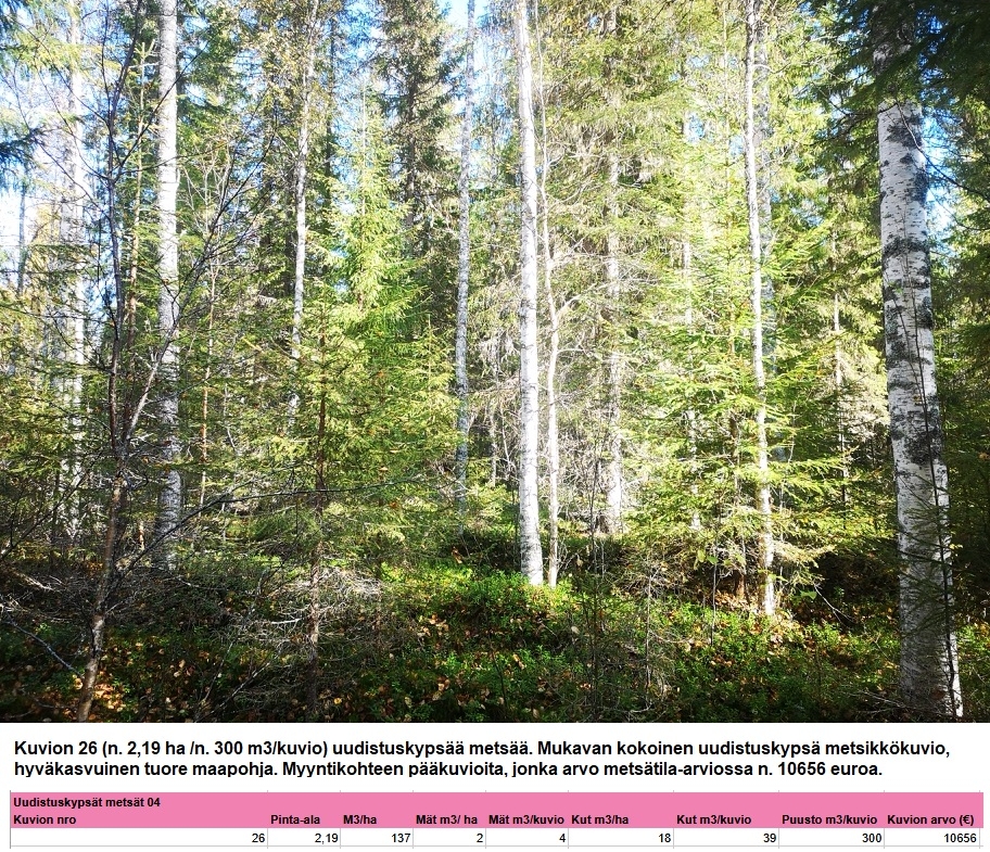 Myydään n. 11964 m3 / n. 89,60 ha kovakasvuinen metsäsijoituskohde Tervolasta tien vierestä. Kasvatusmetsiä n. 9699 m3. Mahdollisuus n. 2900 m3 hakkuisiin! Tarjoukset viimeistään ti 27.10.2026 sähköpostiin tuomo.liikanen@suomenmetsatilakauppa.fi              Lisätiedot 050-4334720, Tuomo Liikanen