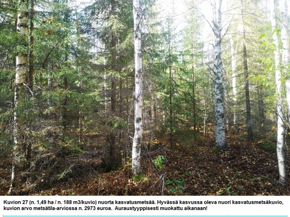 Myydään n. 11964 m3 / n. 89,60 ha kovakasvuinen metsäsijoituskohde Tervolasta tien vierestä. Kasvatusmetsiä n. 9699 m3. Mahdollisuus n. 2900 m3 hakkuisiin! Tarjoukset viimeistään ti 27.10.2026 sähköpostiin tuomo.liikanen@suomenmetsatilakauppa.fi              Lisätiedot 050-4334720, Tuomo Liikanen