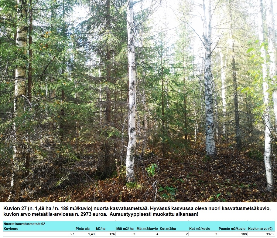 Myydään n. 11964 m3 / n. 89,60 ha kovakasvuinen metsäsijoituskohde Tervolasta tien vierestä. Kasvatusmetsiä n. 9699 m3. Mahdollisuus n. 2900 m3 hakkuisiin! Tarjoukset viimeistään ti 27.10.2026 sähköpostiin tuomo.liikanen@suomenmetsatilakauppa.fi              Lisätiedot 050-4334720, Tuomo Liikanen