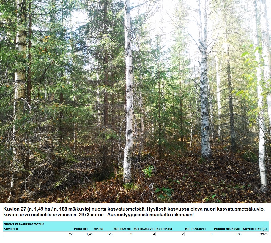 Kuvion 27 nuorta kasvatusmetsää n. 1,49 ha Myydään n. 11964 m3 / n. 89,60 ha kovakasvuinen metsäsijoituskohde Tervolasta tien vierestä. Kasvatusmetsiä n. 9699 m3. Mahdollisuus n. 2900 m3 hakkuisiin! Tarjoukset viimeistään ti 27.10.2026 sähköpostiin tuomo.liikanen@suomenmetsatilakauppa.fi Lisätiedot 050-4334720, Tuomo Liikanen
