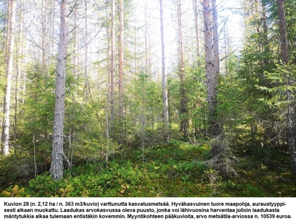 Myydään n. 11964 m3 / n. 89,60 ha kovakasvuinen metsäsijoituskohde Tervolasta tien vierestä. Kasvatusmetsiä n. 9699 m3. Mahdollisuus n. 2900 m3 hakkuisiin! Tarjoukset viimeistään ti 27.10.2026 sähköpostiin tuomo.liikanen@suomenmetsatilakauppa.fi              Lisätiedot 050-4334720, Tuomo Liikanen