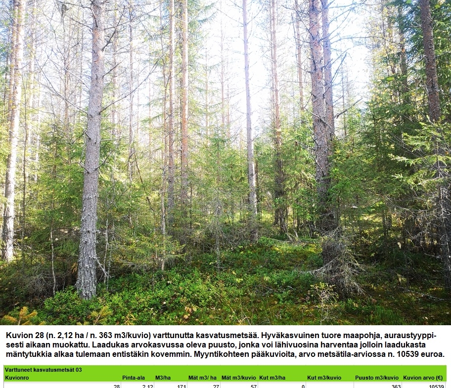 Myydään n. 11964 m3 / n. 89,60 ha kovakasvuinen metsäsijoituskohde Tervolasta tien vierestä. Kasvatusmetsiä n. 9699 m3. Mahdollisuus n. 2900 m3 hakkuisiin! Tarjoukset viimeistään ti 27.10.2026 sähköpostiin tuomo.liikanen@suomenmetsatilakauppa.fi              Lisätiedot 050-4334720, Tuomo Liikanen