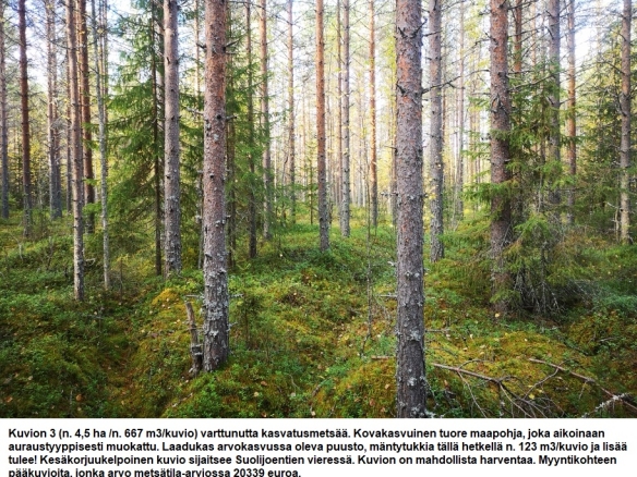 Myydään n. 11964 m3 / n. 89,60 ha kovakasvuinen metsäsijoituskohde Tervolasta tien vierestä. Kasvatusmetsiä n. 9699 m3. Mahdollisuus n. 2900 m3 hakkuisiin! Tarjoukset viimeistään ti 27.10.2026 sähköpostiin tuomo.liikanen@suomenmetsatilakauppa.fi              Lisätiedot 050-4334720, Tuomo Liikanen