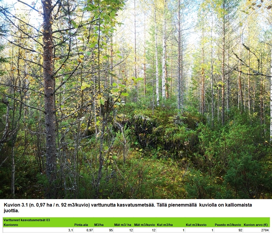 Myydään n. 11964 m3 / n. 89,60 ha kovakasvuinen metsäsijoituskohde Tervolasta tien vierestä. Kasvatusmetsiä n. 9699 m3. Mahdollisuus n. 2900 m3 hakkuisiin! Tarjoukset viimeistään ti 27.10.2026 sähköpostiin tuomo.liikanen@suomenmetsatilakauppa.fi              Lisätiedot 050-4334720, Tuomo Liikanen