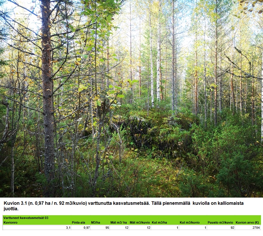 Kuvion 3.1 varttunut kasvatusmetsä n. 1,0 ha Myydään n. 11964 m3 / n. 89,60 ha kovakasvuinen metsäsijoituskohde Tervolasta tien vierestä. Kasvatusmetsiä n. 9699 m3. Mahdollisuus n. 2900 m3 hakkuisiin! Tarjoukset viimeistään ti 27.10.2026 sähköpostiin tuomo.liikanen@suomenmetsatilakauppa.fi Lisätiedot 050-4334720, Tuomo Liikanen
