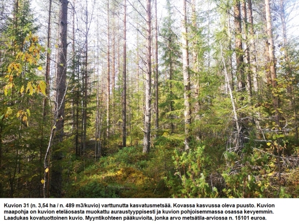 Myydään n. 11964 m3 / n. 89,60 ha kovakasvuinen metsäsijoituskohde Tervolasta tien vierestä. Kasvatusmetsiä n. 9699 m3. Mahdollisuus n. 2900 m3 hakkuisiin! Tarjoukset viimeistään ti 27.10.2026 sähköpostiin tuomo.liikanen@suomenmetsatilakauppa.fi              Lisätiedot 050-4334720, Tuomo Liikanen