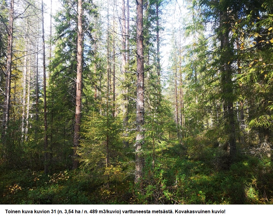 Myydään n. 11964 m3 / n. 89,60 ha kovakasvuinen metsäsijoituskohde Tervolasta tien vierestä. Kasvatusmetsiä n. 9699 m3. Mahdollisuus n. 2900 m3 hakkuisiin! Tarjoukset viimeistään ti 27.10.2026 sähköpostiin tuomo.liikanen@suomenmetsatilakauppa.fi              Lisätiedot 050-4334720, Tuomo Liikanen