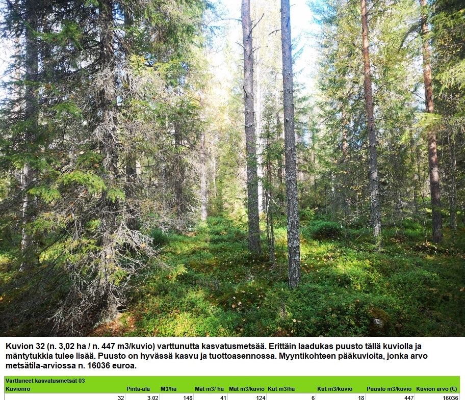 Myydään n. 11964 m3 / n. 89,60 ha kovakasvuinen metsäsijoituskohde Tervolasta tien vierestä. Kasvatusmetsiä n. 9699 m3. Mahdollisuus n. 2900 m3 hakkuisiin! Tarjoukset viimeistään ti 27.10.2026 sähköpostiin tuomo.liikanen@suomenmetsatilakauppa.fi              Lisätiedot 050-4334720, Tuomo Liikanen