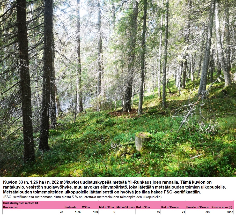 Kuvion 33 uudistuskypsä metsä rantakuvio n. 1,26 ha suojavuohyke Myydään n. 11964 m3 / n. 89,60 ha kovakasvuinen metsäsijoituskohde Tervolasta tien vierestä. Kasvatusmetsiä n. 9699 m3. Mahdollisuus n. 2900 m3 hakkuisiin! Tarjoukset viimeistään ti 27.10.2026 sähköpostiin tuomo.liikanen@suomenmetsatilakauppa.fi Lisätiedot 050-4334720, Tuomo Liikanen