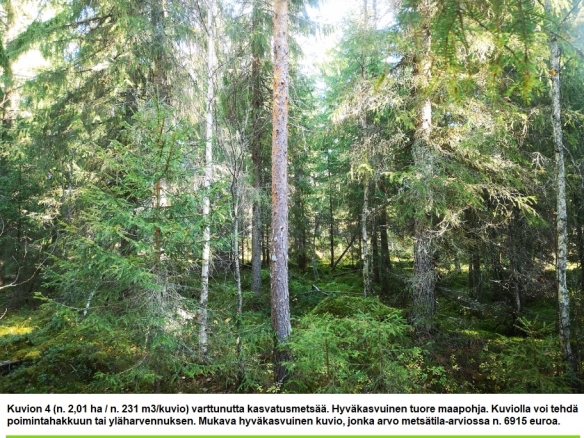 Myydään n. 11964 m3 / n. 89,60 ha kovakasvuinen metsäsijoituskohde Tervolasta tien vierestä. Kasvatusmetsiä n. 9699 m3. Mahdollisuus n. 2900 m3 hakkuisiin! Tarjoukset viimeistään ti 27.10.2026 sähköpostiin tuomo.liikanen@suomenmetsatilakauppa.fi              Lisätiedot 050-4334720, Tuomo Liikanen