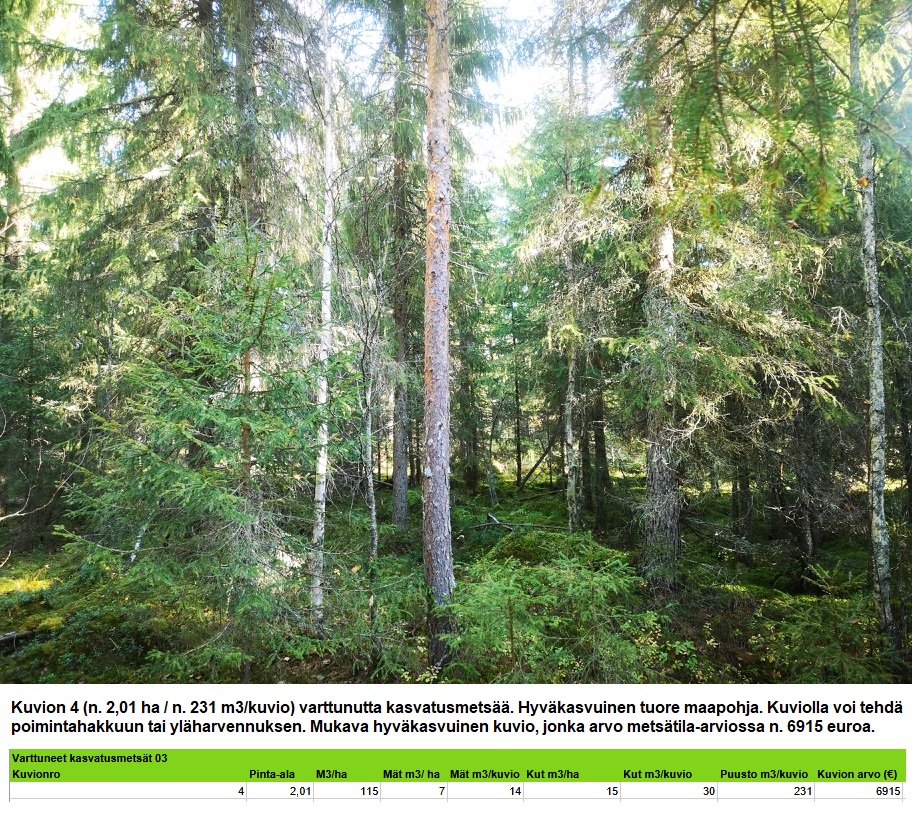 Kuvion 4 varttunut kasvatusmetsä n. 2,01 ha Myydään n. 11964 m3 / n. 89,60 ha kovakasvuinen metsäsijoituskohde Tervolasta tien vierestä. Kasvatusmetsiä n. 9699 m3. Mahdollisuus n. 2900 m3 hakkuisiin! Tarjoukset viimeistään ti 27.10.2026 sähköpostiin tuomo.liikanen@suomenmetsatilakauppa.fi Lisätiedot 050-4334720, Tuomo Liikanen