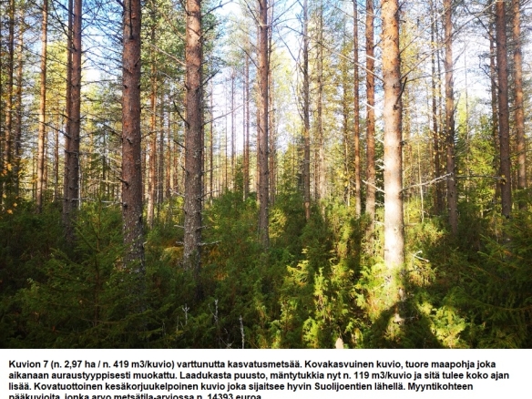 Myydään n. 11964 m3 / n. 89,60 ha kovakasvuinen metsäsijoituskohde Tervolasta tien vierestä. Kasvatusmetsiä n. 9699 m3. Mahdollisuus n. 2900 m3 hakkuisiin! Tarjoukset viimeistään ti 27.10.2026 sähköpostiin tuomo.liikanen@suomenmetsatilakauppa.fi              Lisätiedot 050-4334720, Tuomo Liikanen