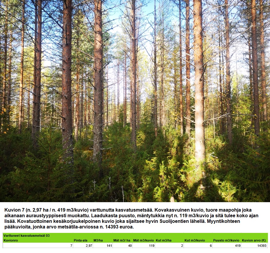 Kuvion 7 varttunut kasvatusmetsä n. 2,97 ha k1 Myydään n. 11964 m3 / n. 89,60 ha kovakasvuinen metsäsijoituskohde Tervolasta tien vierestä. Kasvatusmetsiä n. 9699 m3. Mahdollisuus n. 2900 m3 hakkuisiin! Tarjoukset viimeistään ti 27.10.2026 sähköpostiin tuomo.liikanen@suomenmetsatilakauppa.fi Lisätiedot 050-4334720, Tuomo Liikanen