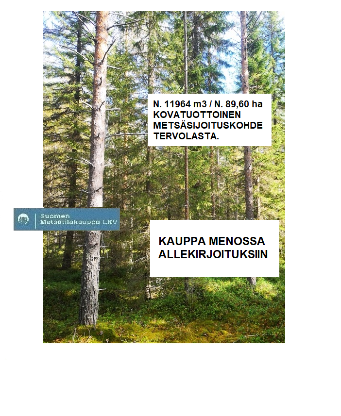KAUPPA MENOSSA ALLEKIRJOITUKSIIN. Kovakasvuinen n. 11964 m3 / n. 89,60 ha metsäsijoituskohde Tervolasta tien vierestä. Kasvatusmetsiä n. 9699 m3. Mahdollisuus n. 2900 m3 hakkuisiin!  Lisätiedot 050-4334720, Tuomo Liikanen