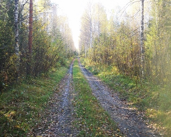 Myydään n. 11964 m3 / n. 89,60 ha kovakasvuinen metsäsijoituskohde Tervolasta tien vierestä. Kasvatusmetsiä n. 9699 m3. Mahdollisuus n. 2900 m3 hakkuisiin! Tarjoukset viimeistään ti 27.10.2026 sähköpostiin tuomo.liikanen@suomenmetsatilakauppa.fi              Lisätiedot 050-4334720, Tuomo Liikanen