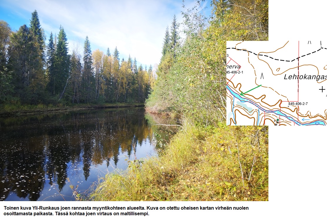 Myydään n. 11964 m3 / n. 89,60 ha kovakasvuinen metsäsijoituskohde Tervolasta tien vierestä. Kasvatusmetsiä n. 9699 m3. Mahdollisuus n. 2900 m3 hakkuisiin! Tarjoukset viimeistään ti 27.10.2026 sähköpostiin tuomo.liikanen@suomenmetsatilakauppa.fi              Lisätiedot 050-4334720, Tuomo Liikanen